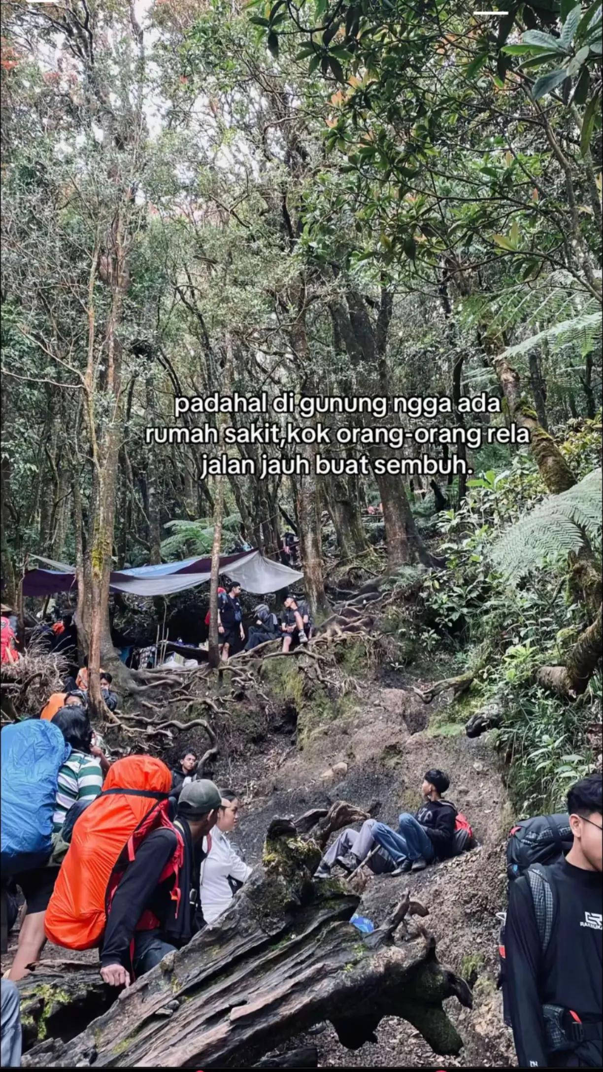 @Jah