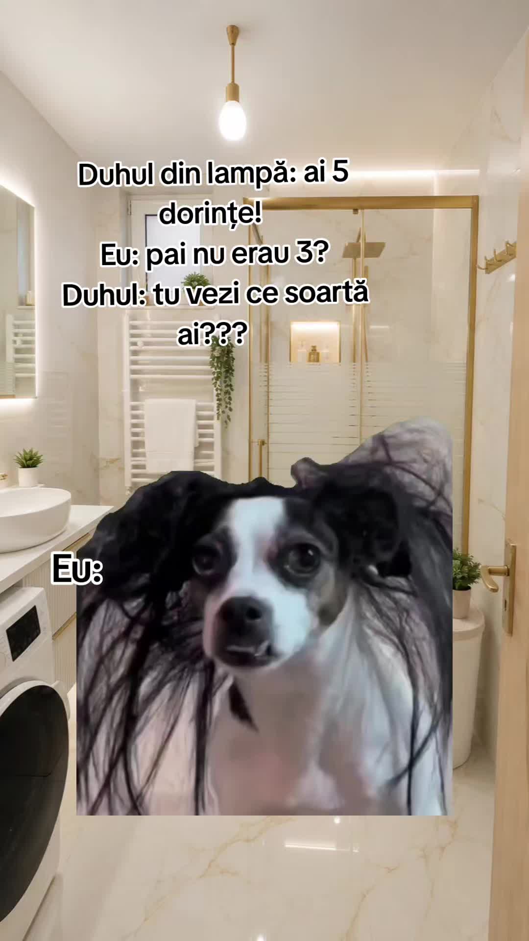 @❤️Teo❤️