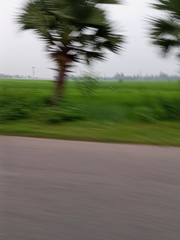 @đ āĻļāĻŋāĻāĻĻāĻžāϰ āĻŦāĻžāĻĄāĻŧāĻŋāϰ āϰāĻžāĻāĻāύā§āϝāĻž đ