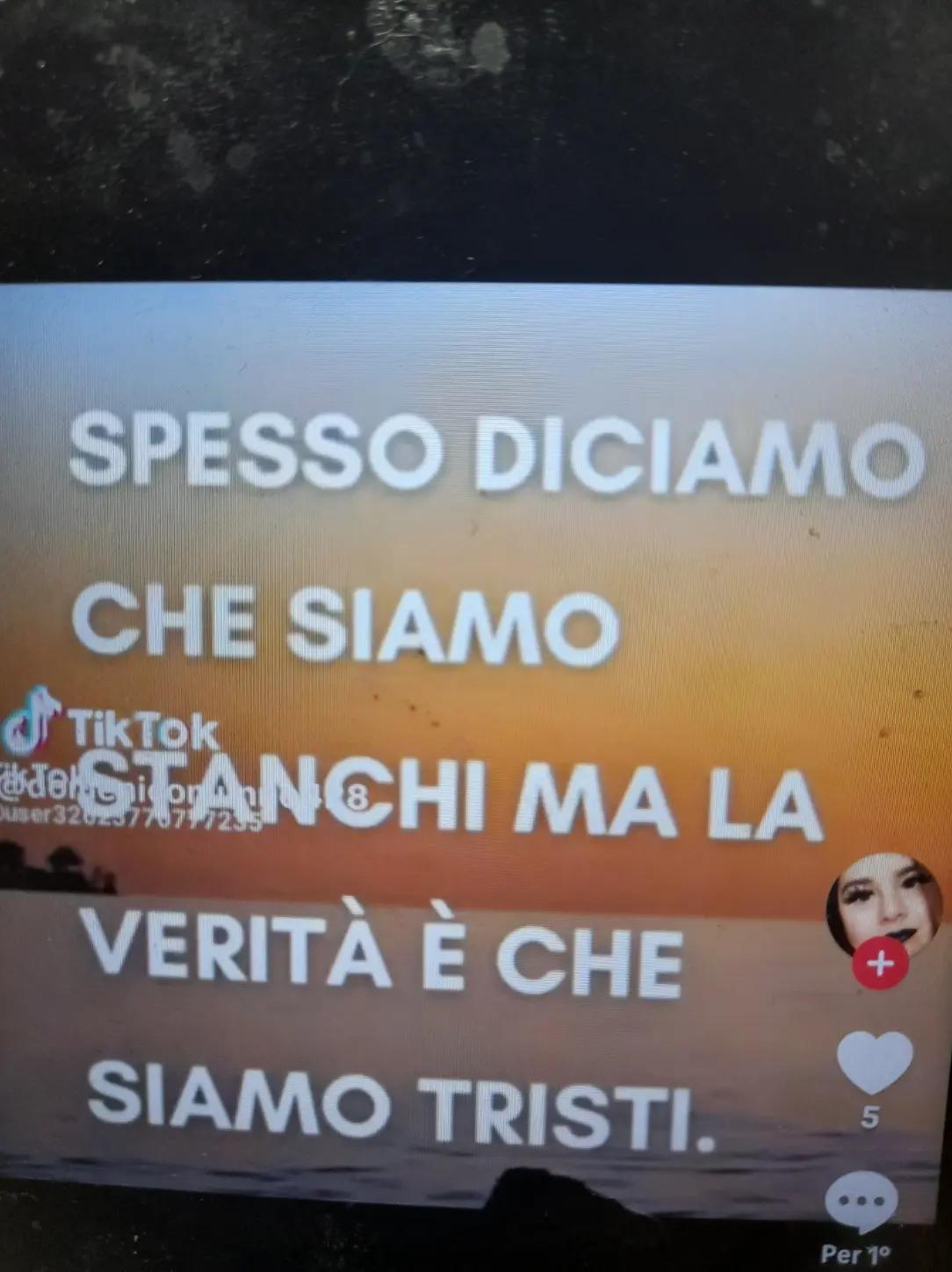 @🔥 la volpe rossa  🔥