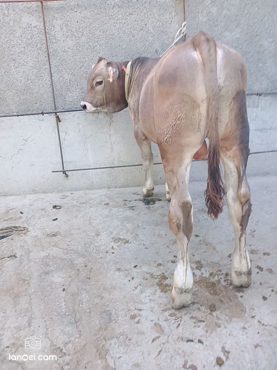 @Azizbek Mexliyev