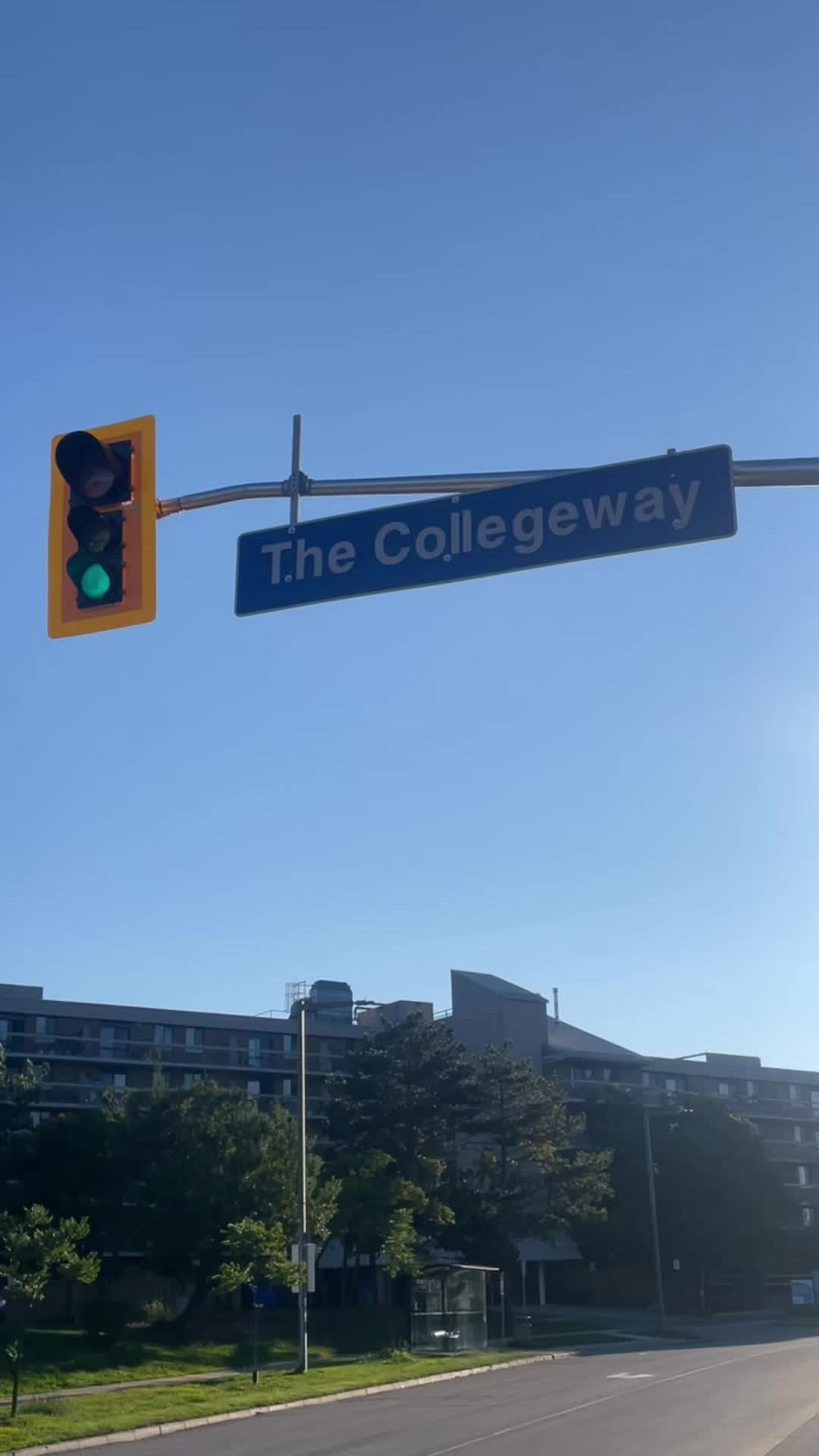 @Relly Racks