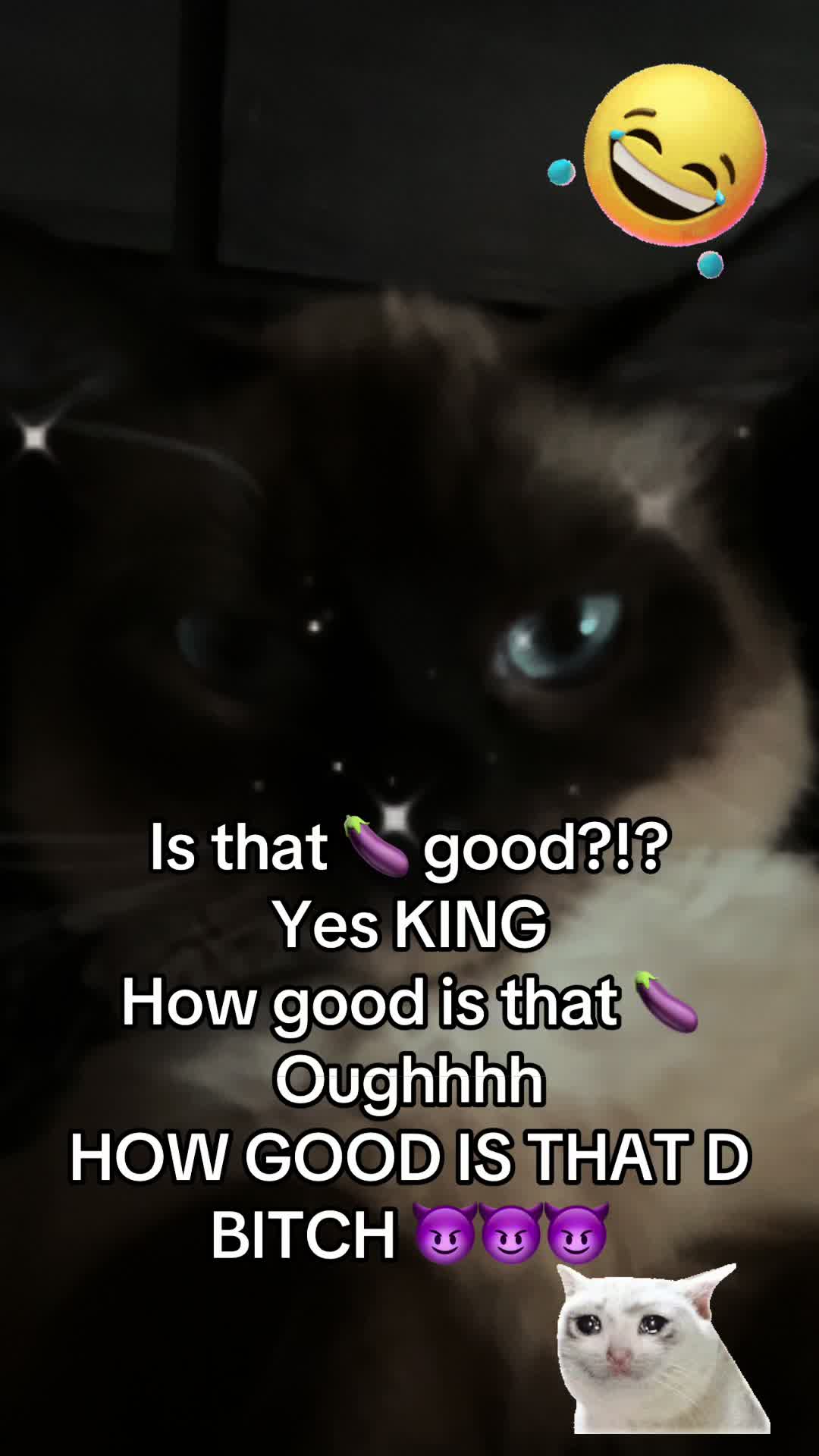 @fatplumpythugcat9000