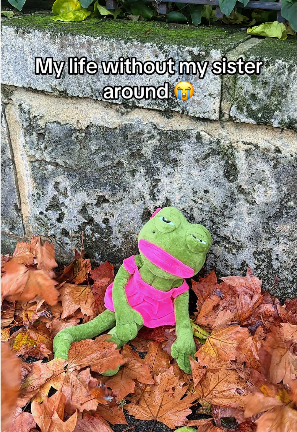 @relatablepepe