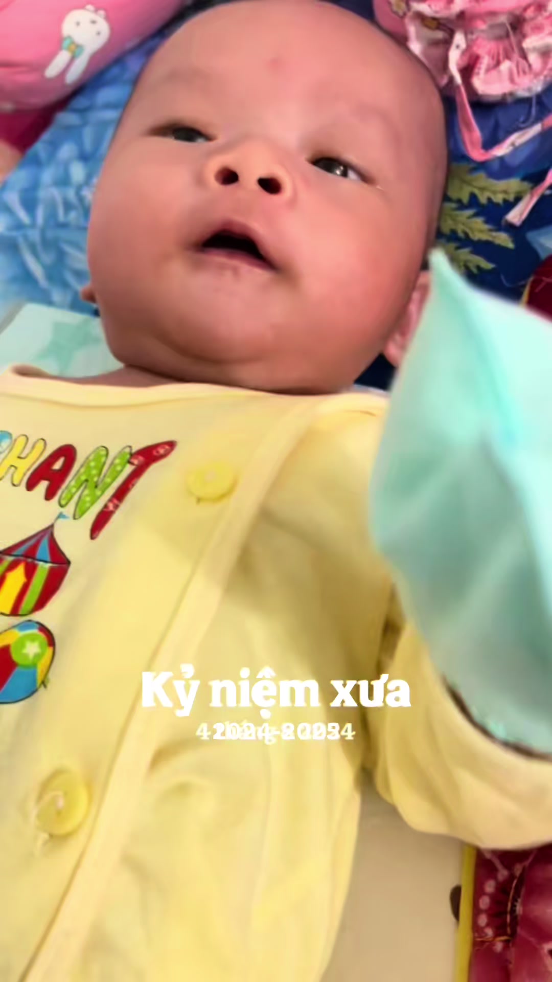 @Nấm 🍄🇻🇳