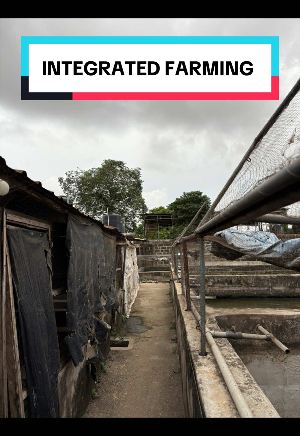@Lagosfarmgirl