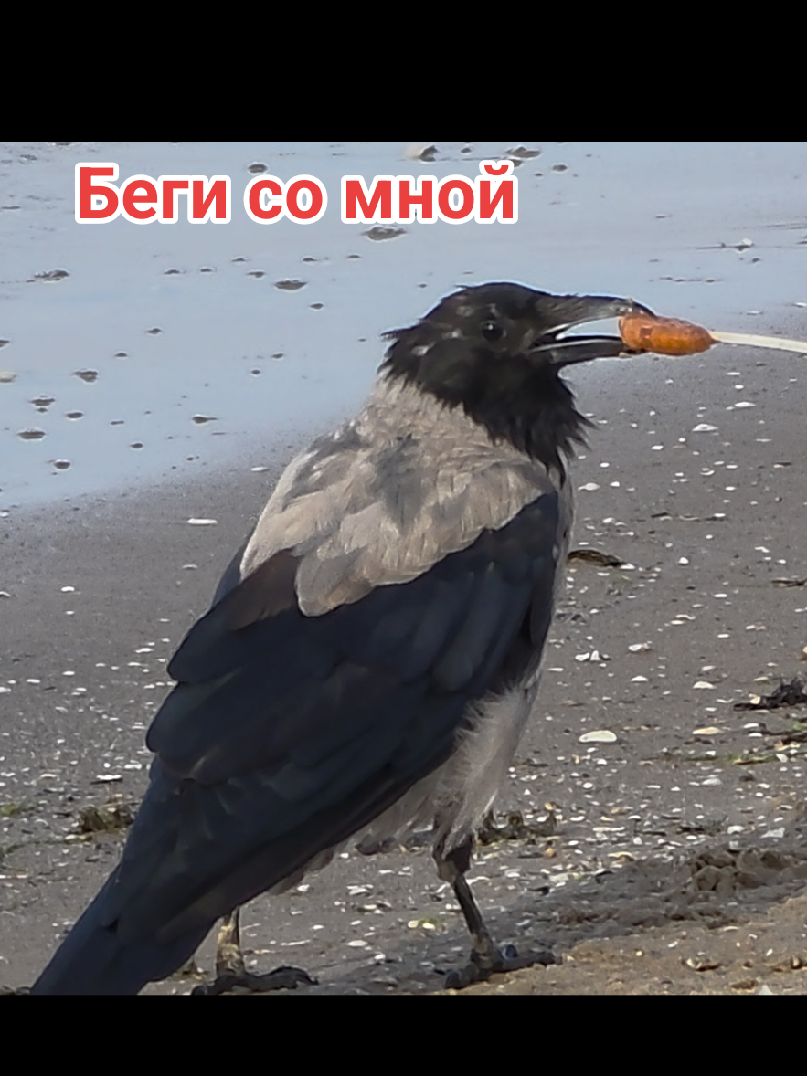 @veronikas_life