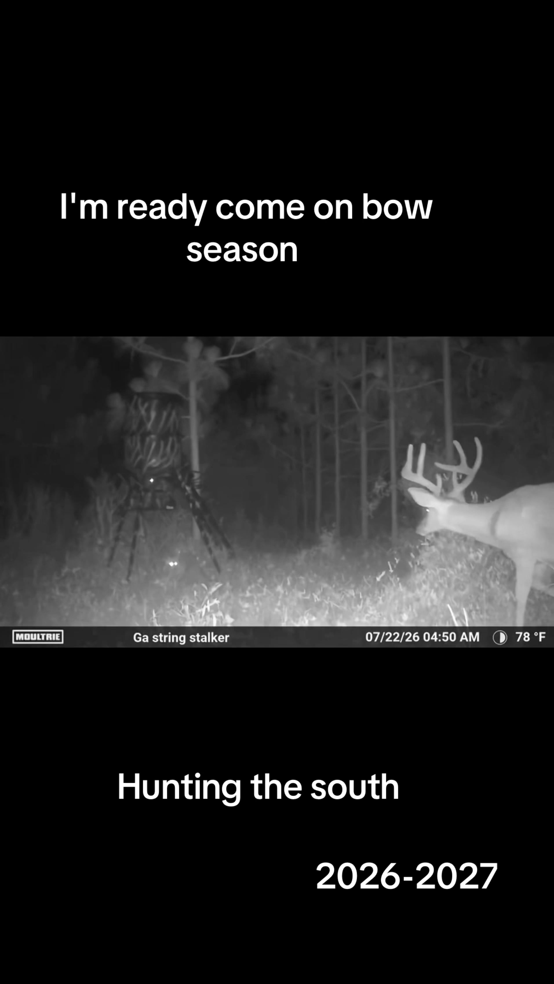 @GEORGIA STRING STALKER