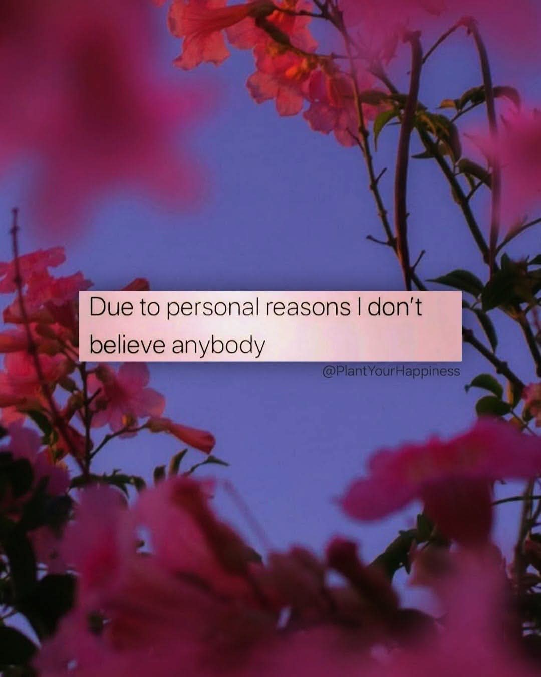 @⛤⋆˖⁺⋆𝓚𝓮𝓻𝓼𝓽𝓲𝓷⋆⛤⋆˖⁺