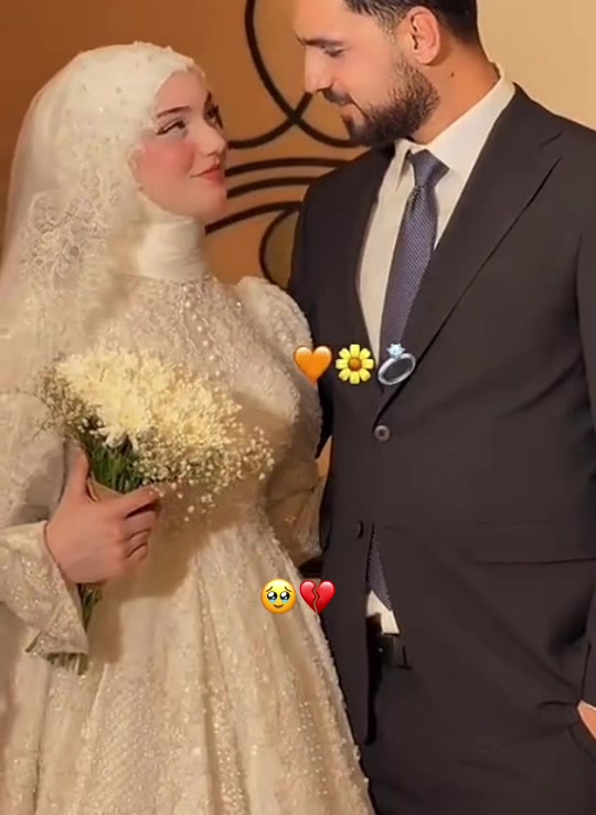 @𓆩حـــــــــــــــیاء𓆪