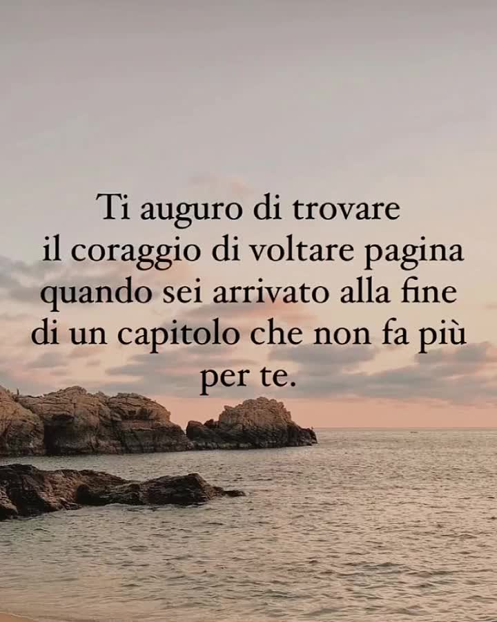 @dino606389