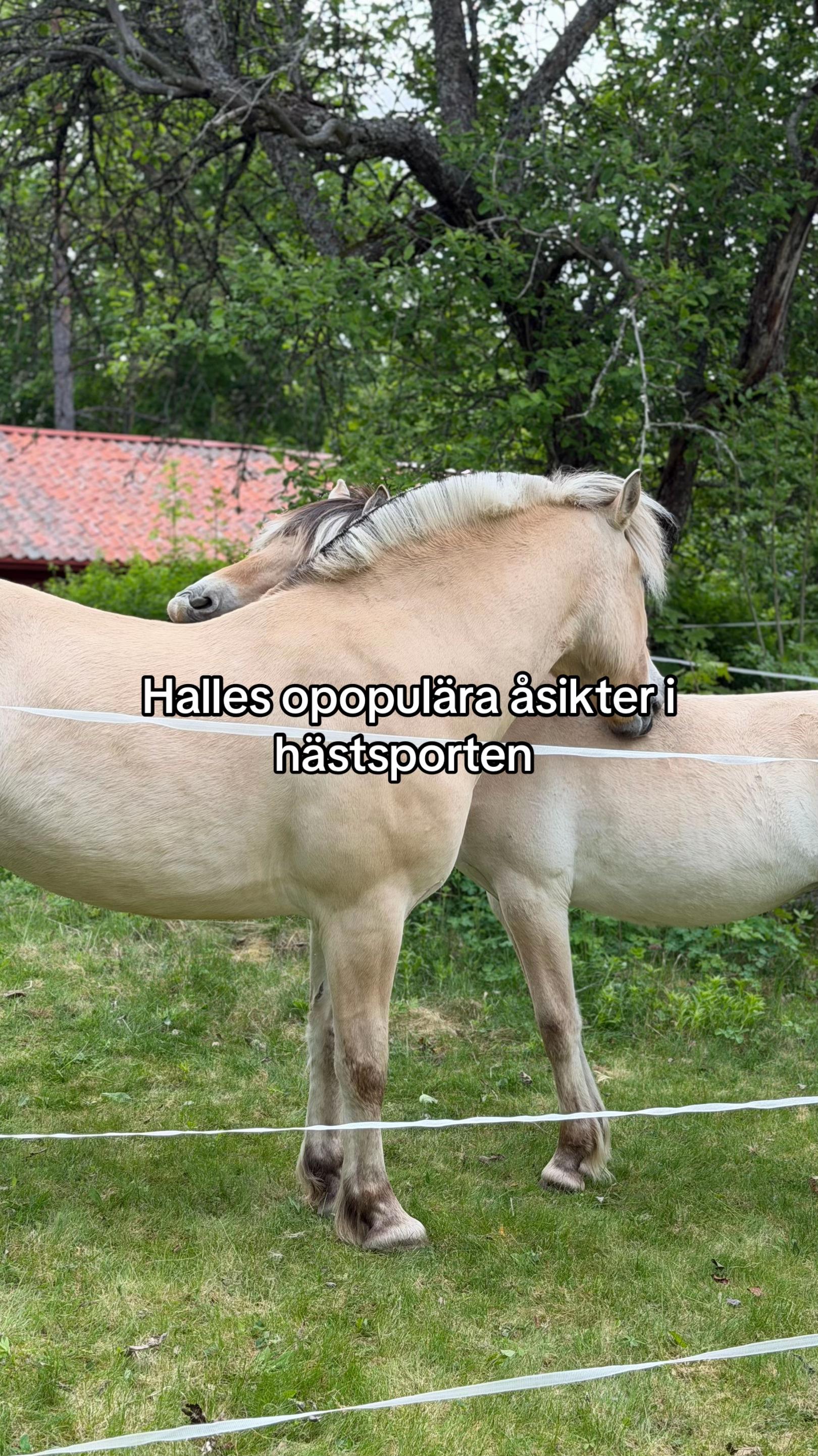 @halleociara