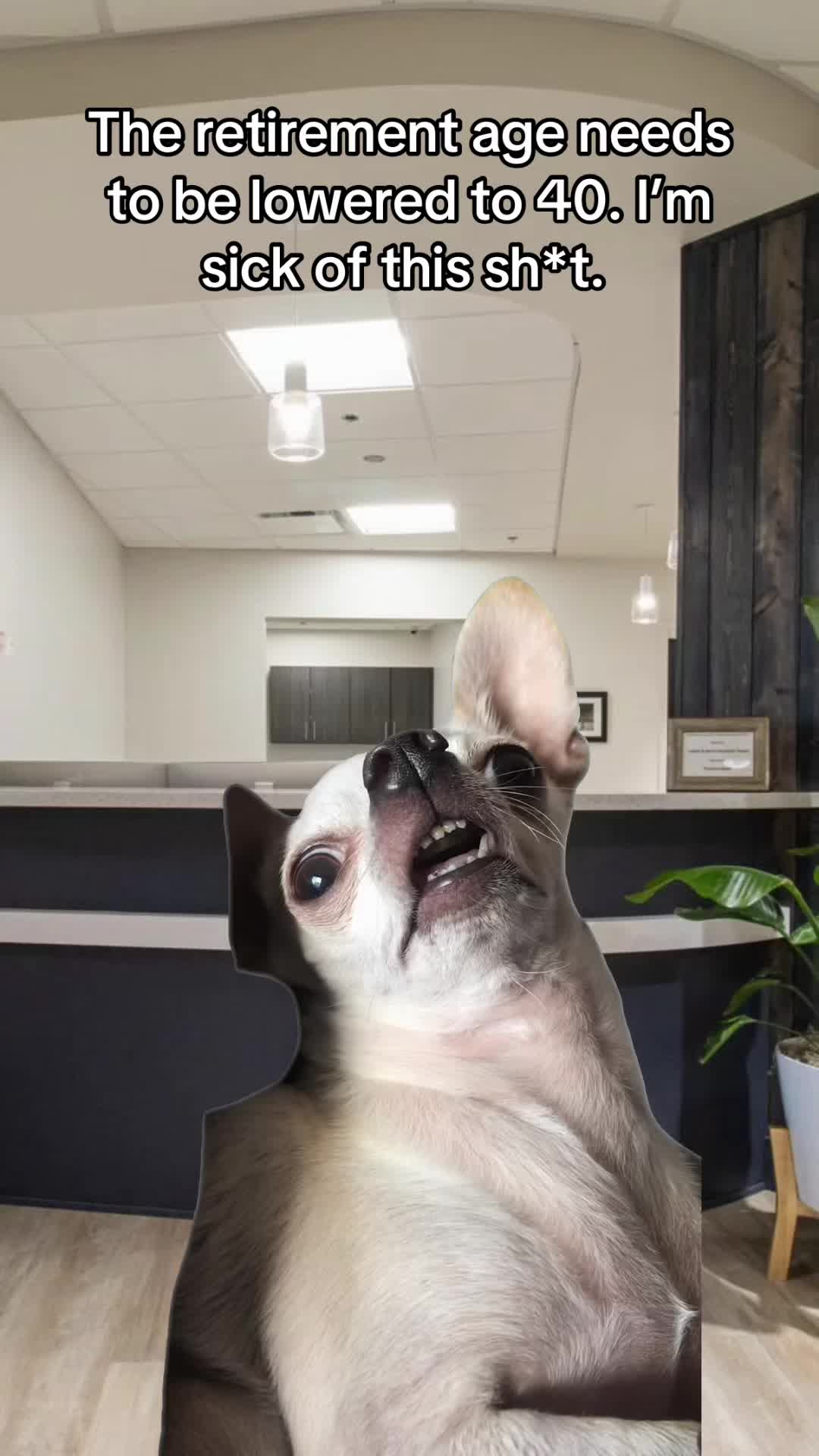 @dental_comedy_hour