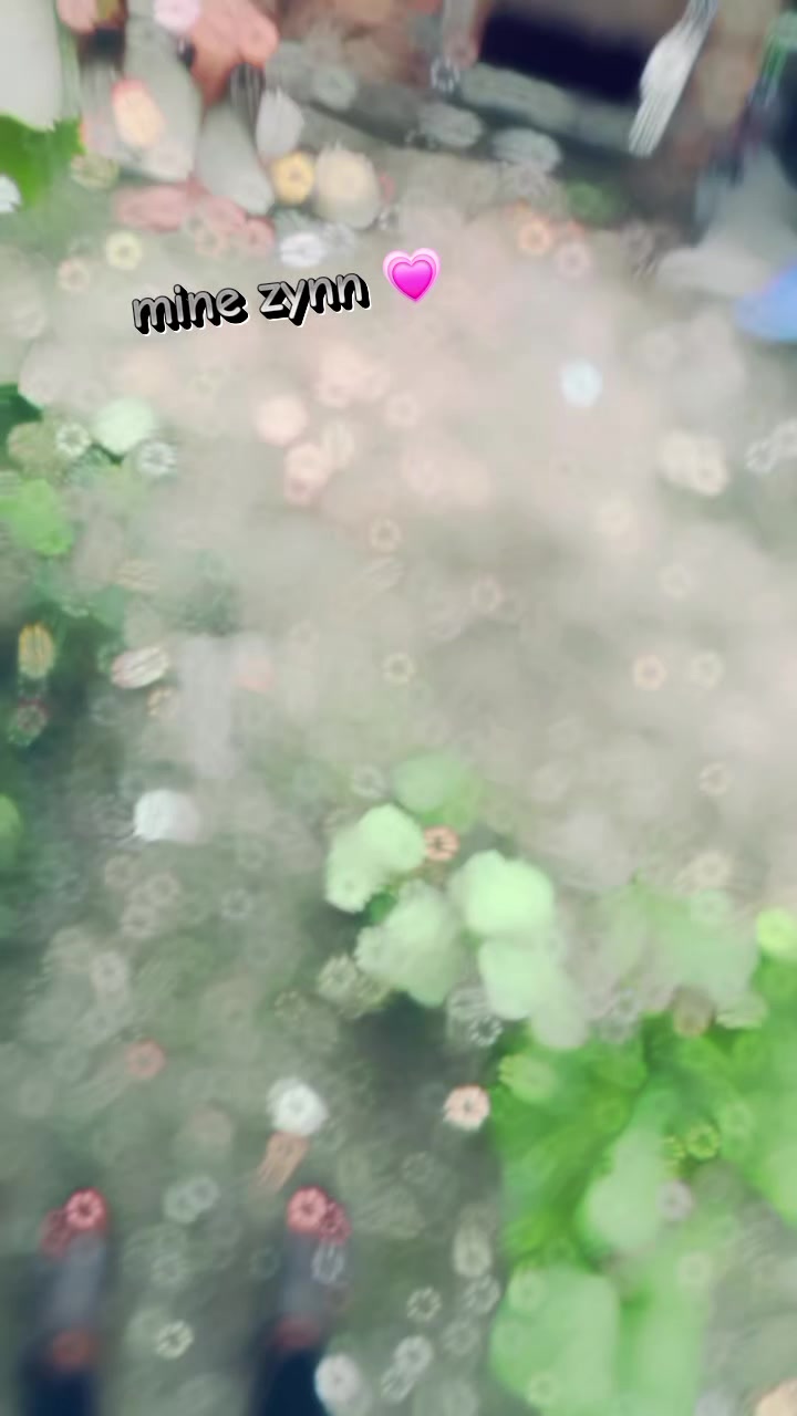 @▄︻┻═┳一ⓢⓐⓣⓨⓐⓜ
