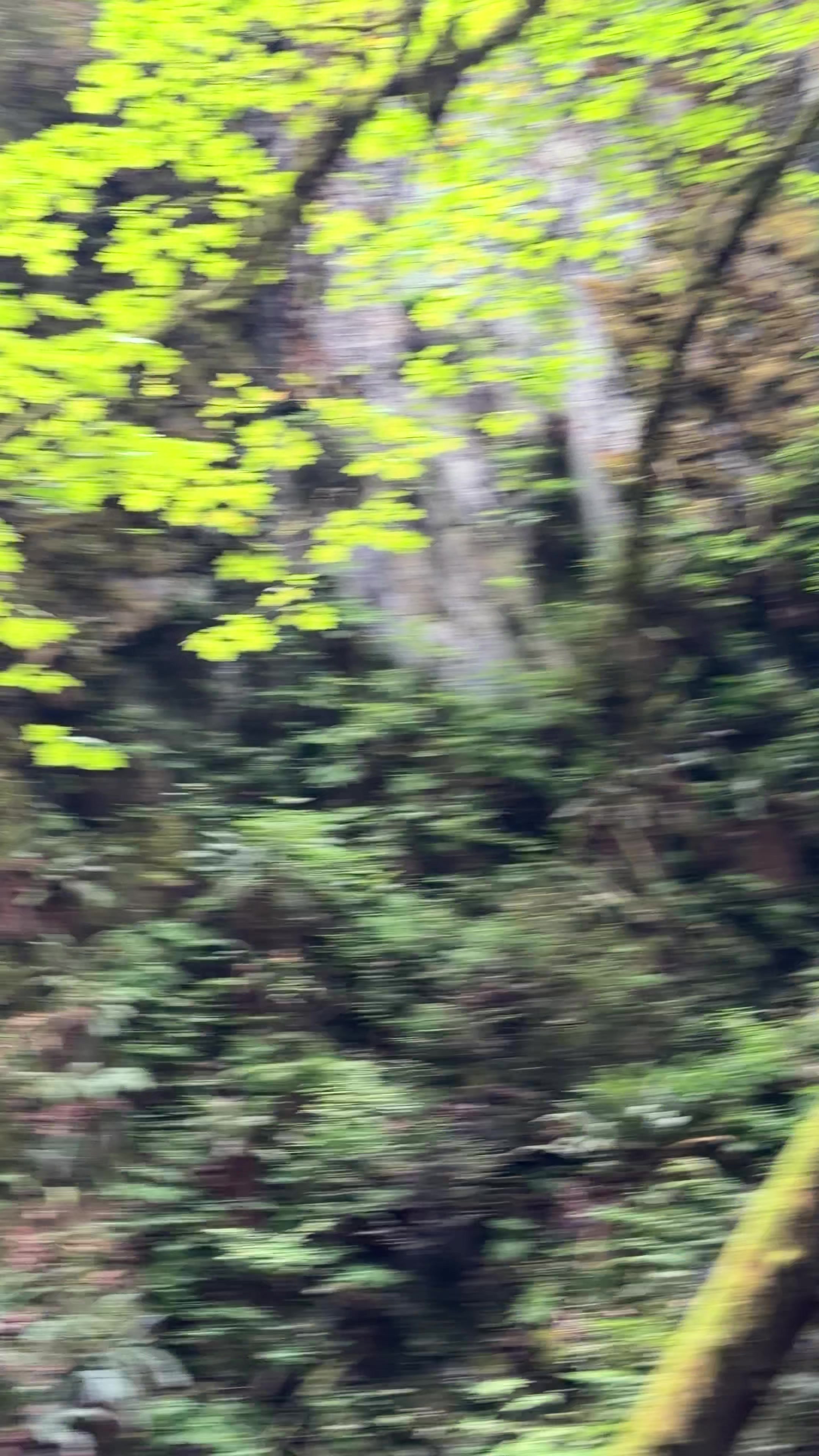 @🗣️ˢᶜᵏⁱᶠʸ