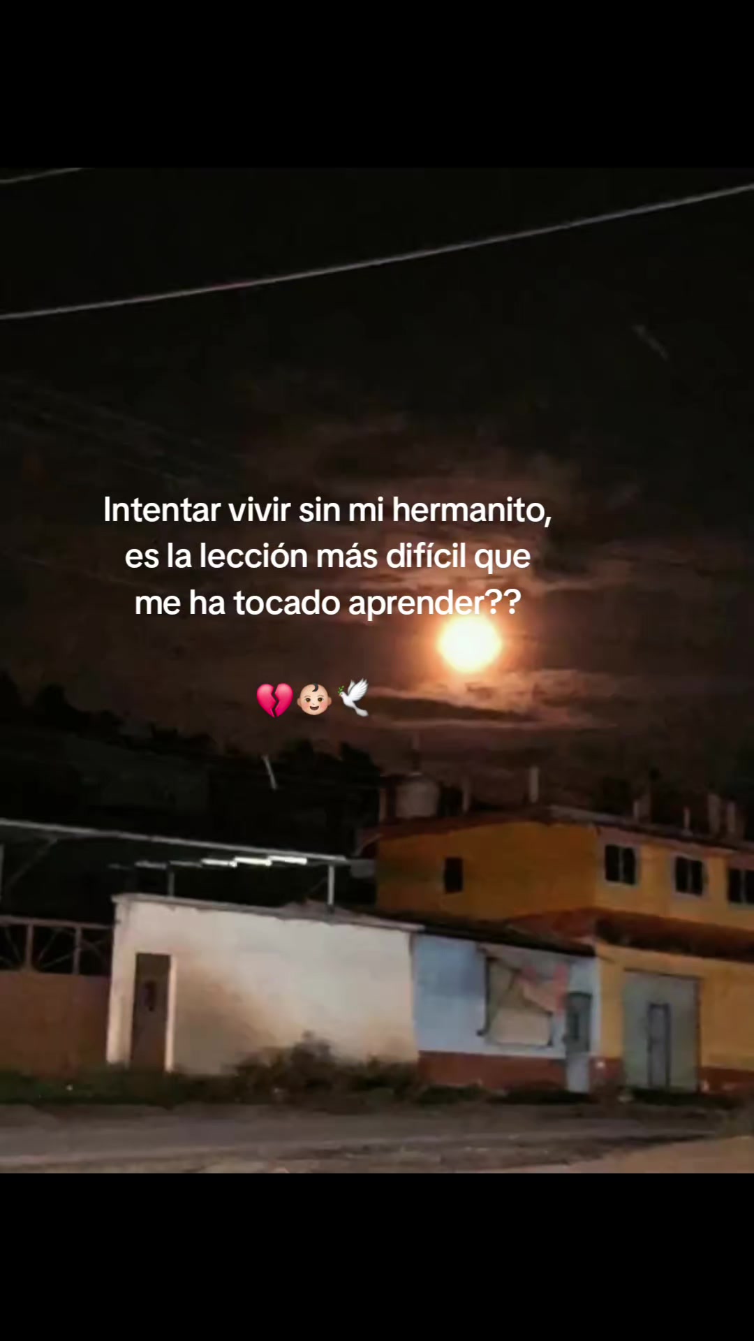 @🐇*CELESTE*🐇