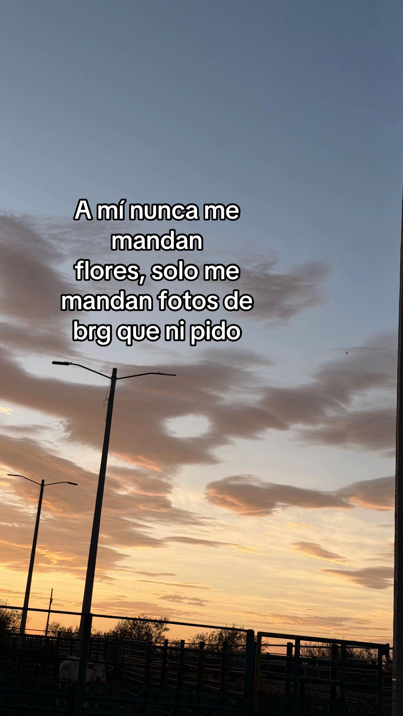 @Mis