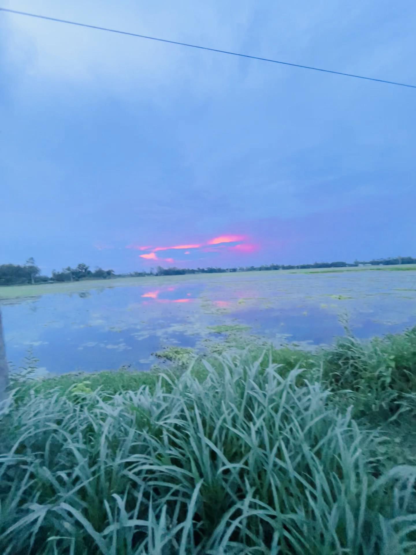 @ARmanShark47