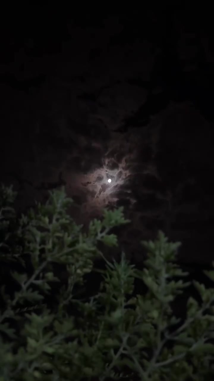 @𝓨𝓸𝓾𝓼𝓲𝓯  ོ ⠀