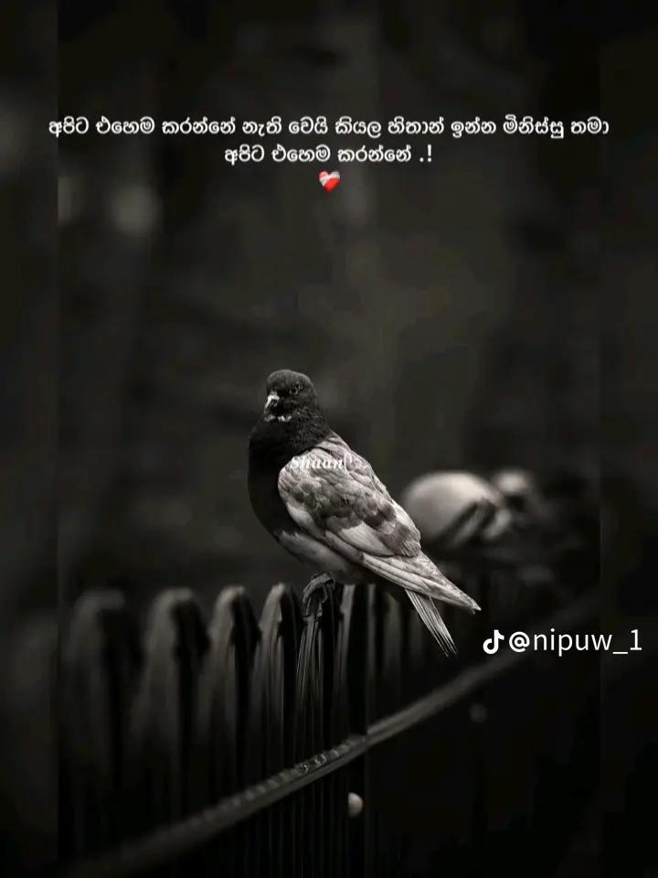 @poornima🥵💋