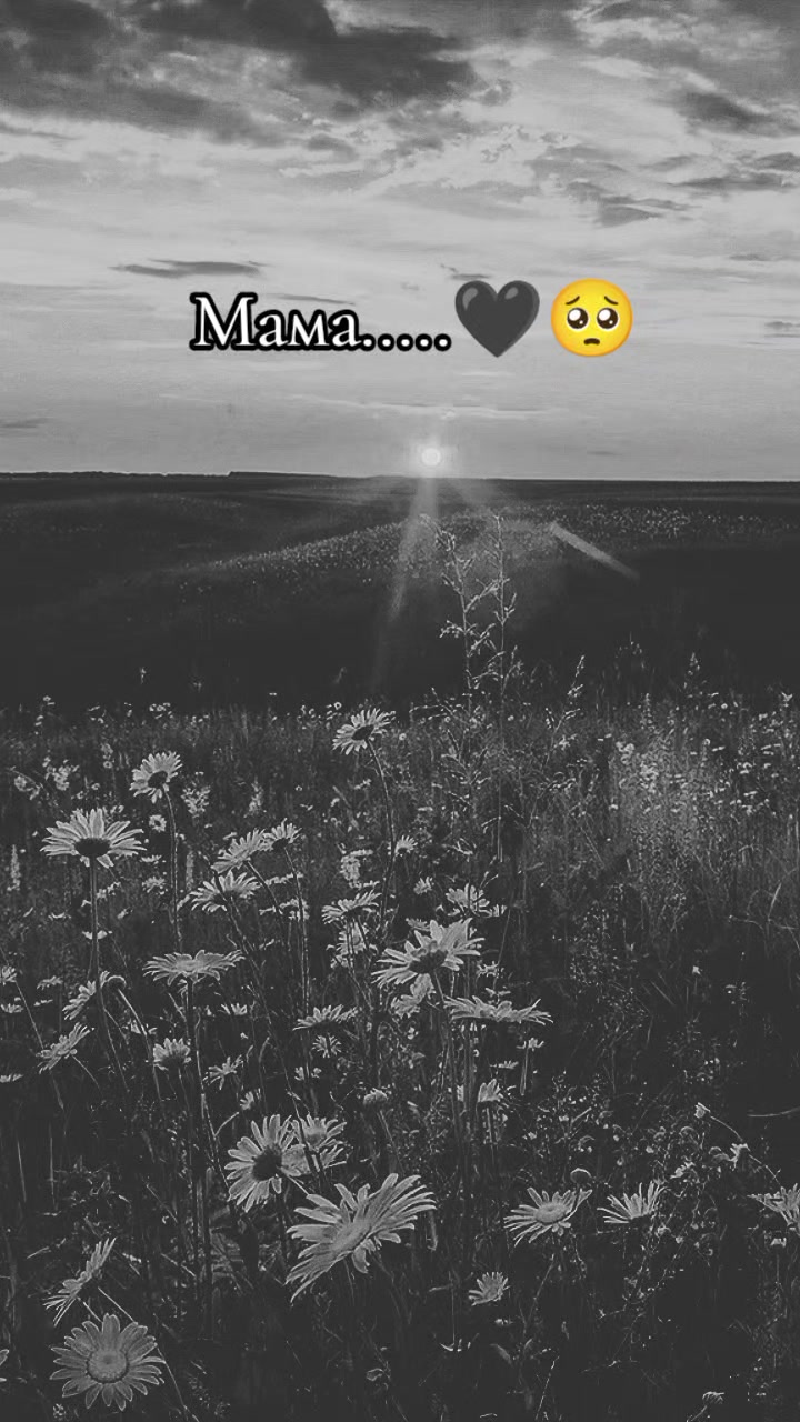 @♡𝓑𝓾𝓼𝓲𝓷𝓴𝓪♡