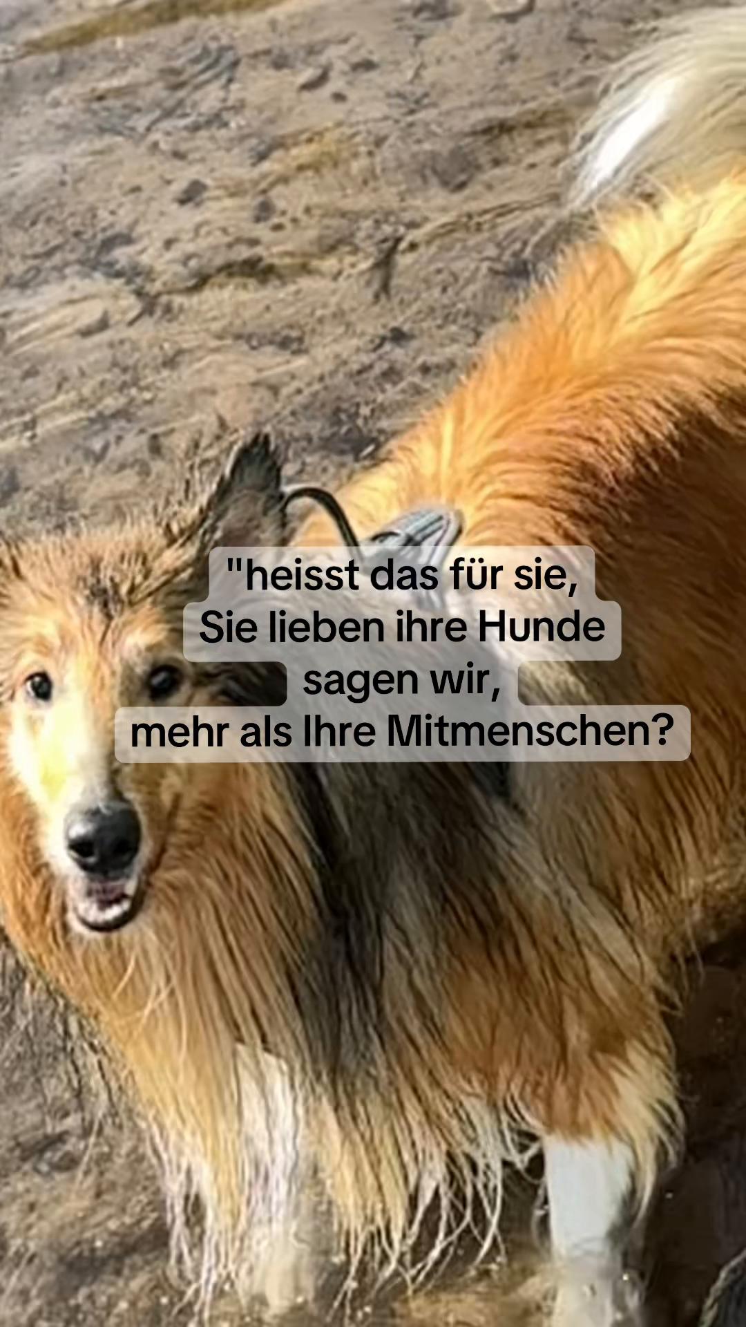 @Jasmin Werner