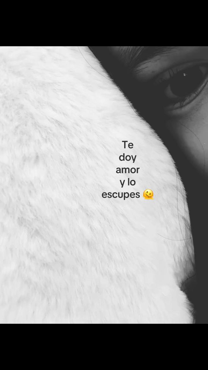 @ᥫ᭡ 𝒮𝓉ℯ𝓅𝒽𝒶𝓃𝒾ℯ⚡️