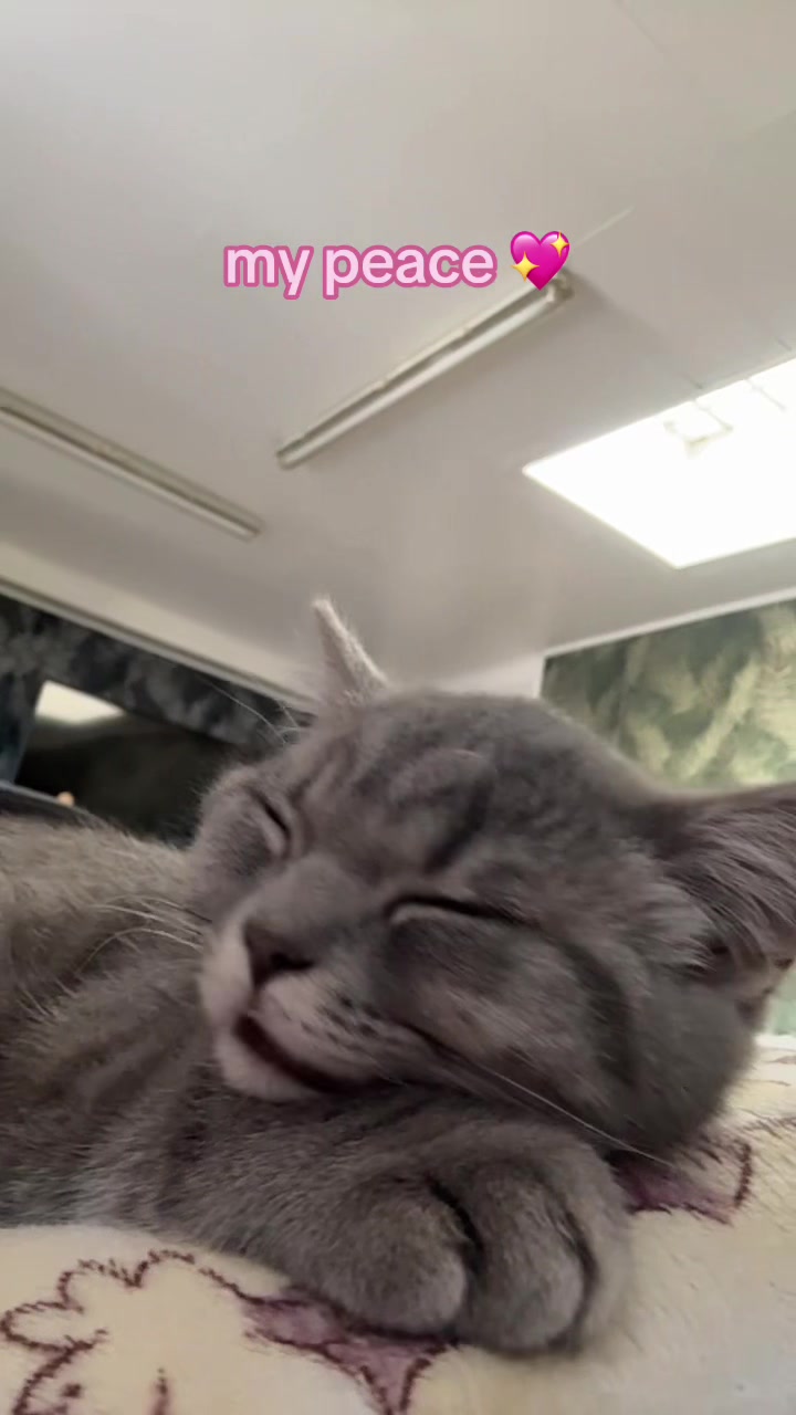 @<3