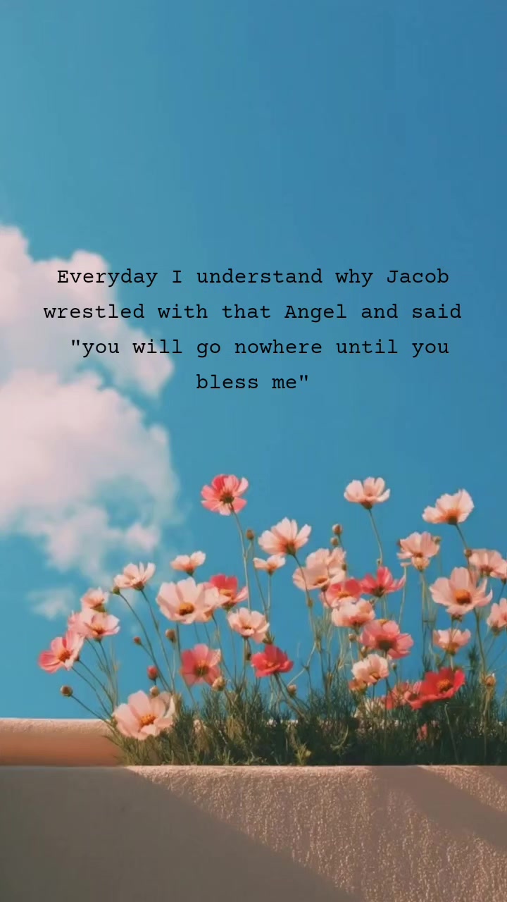@kingdomVibes✞