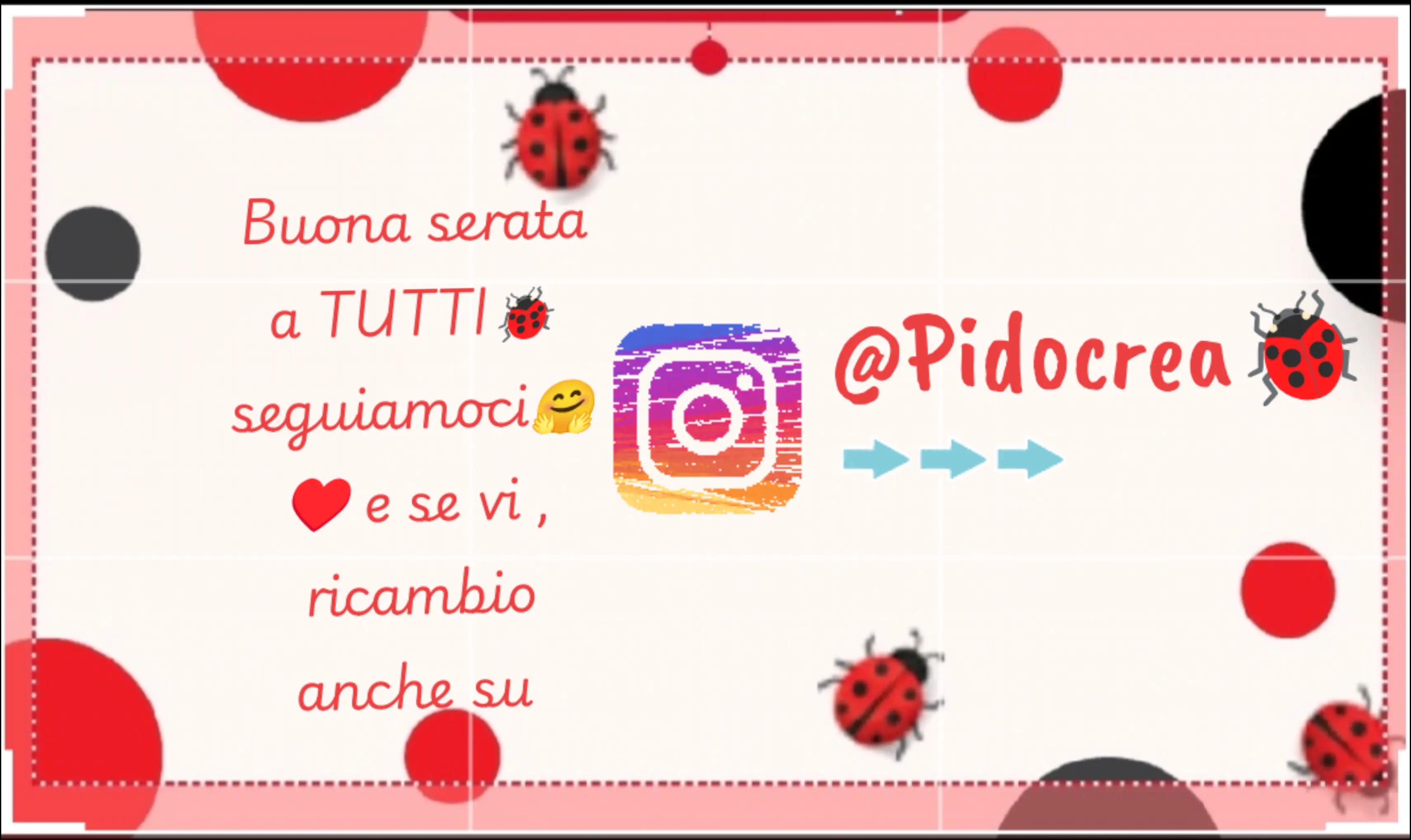 @Pidocrea🐞