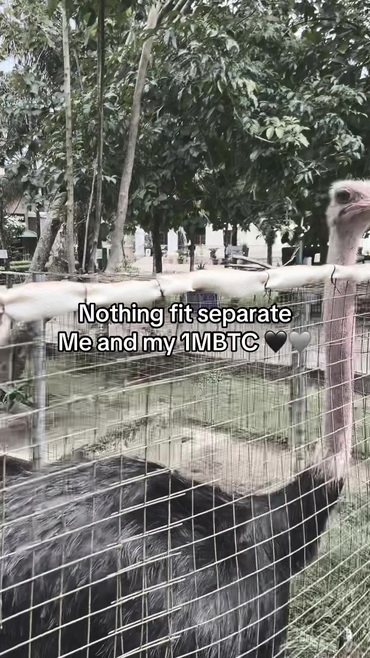 @0pher1