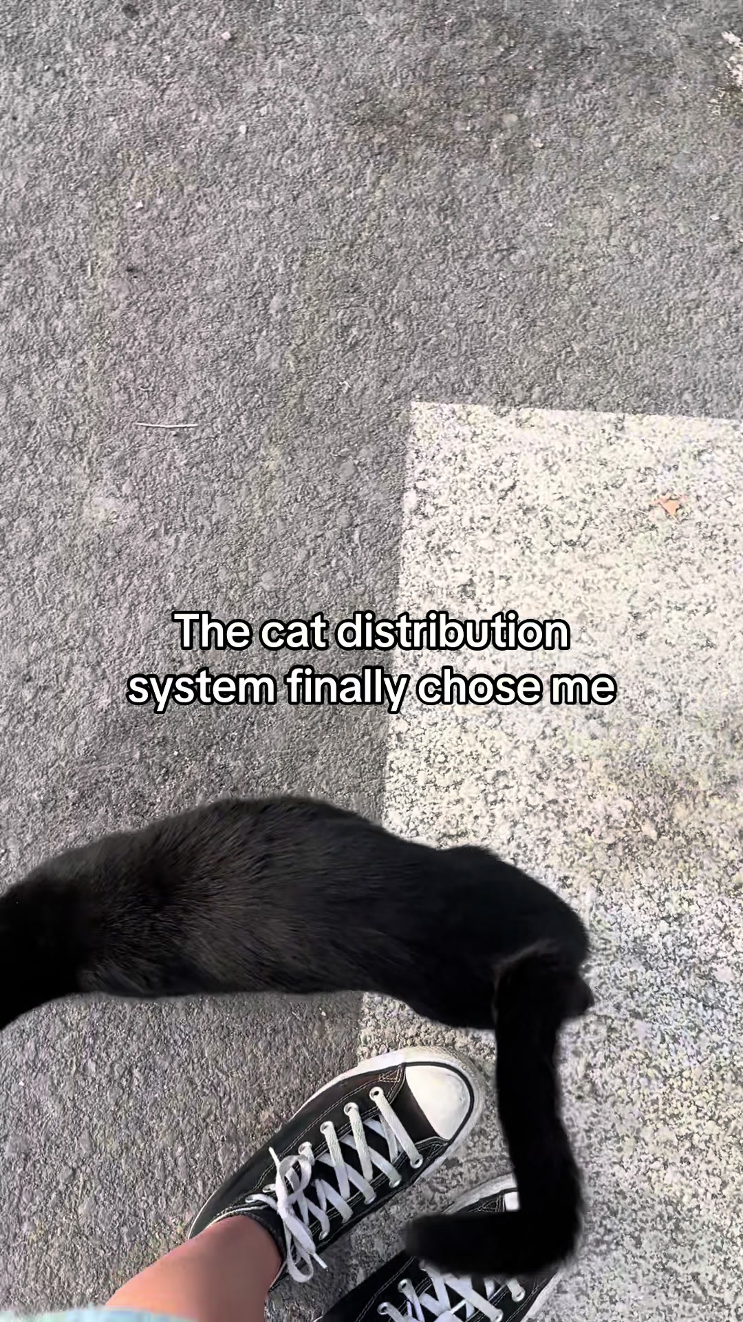 @Éléa 🙇🏻♀️🙇🏻♀️