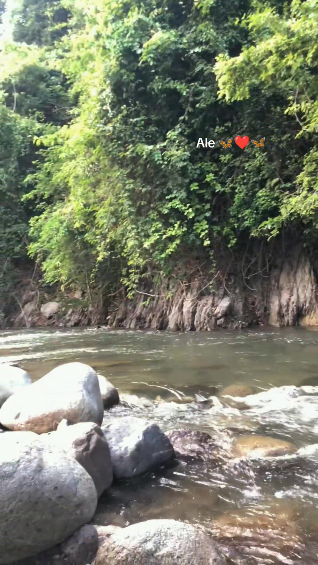 @Alee.legui