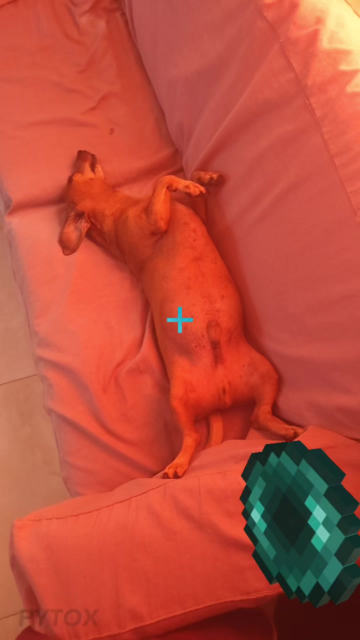 @Kobegus24