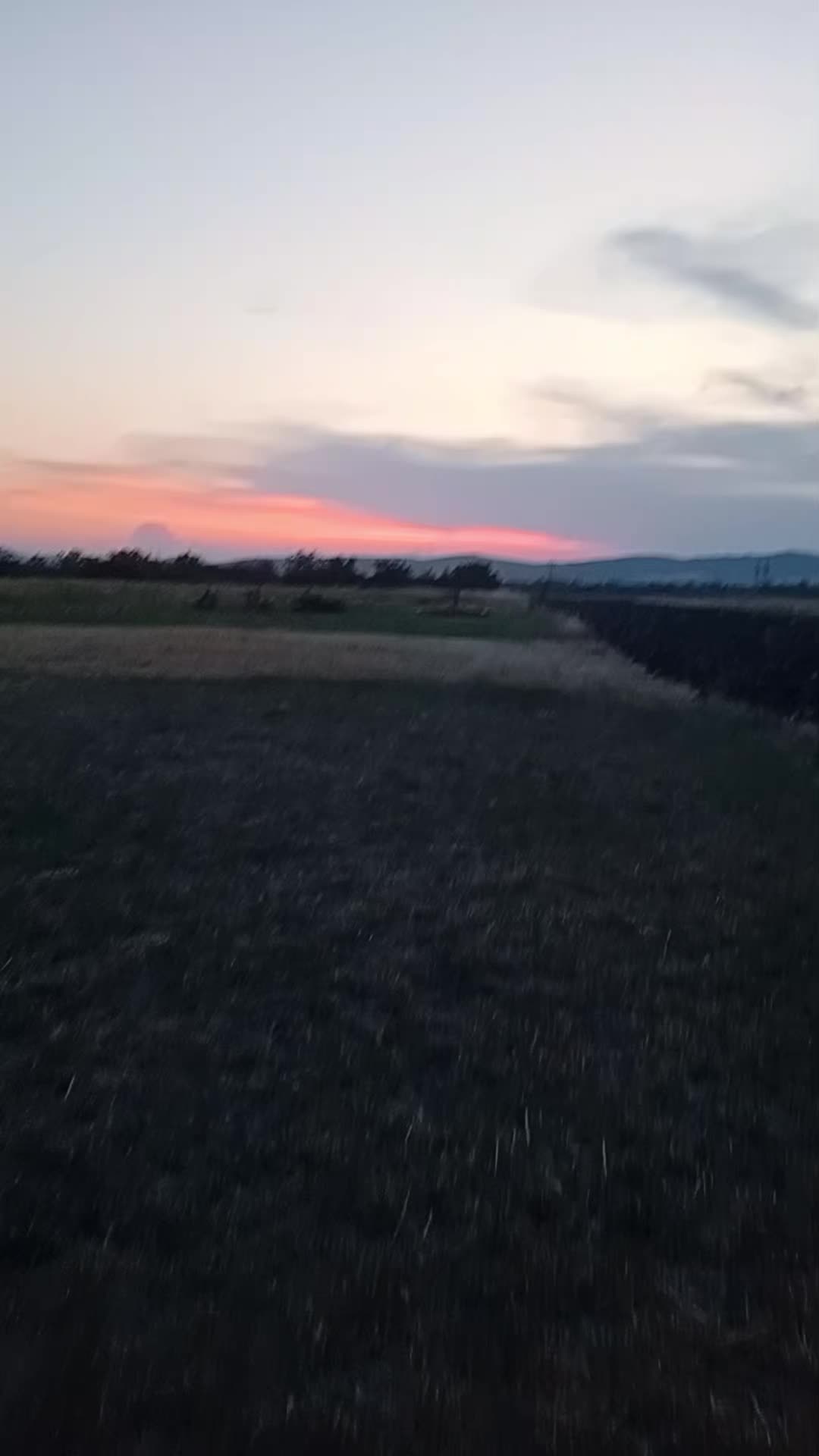 @Benjam&iacute;n🐶