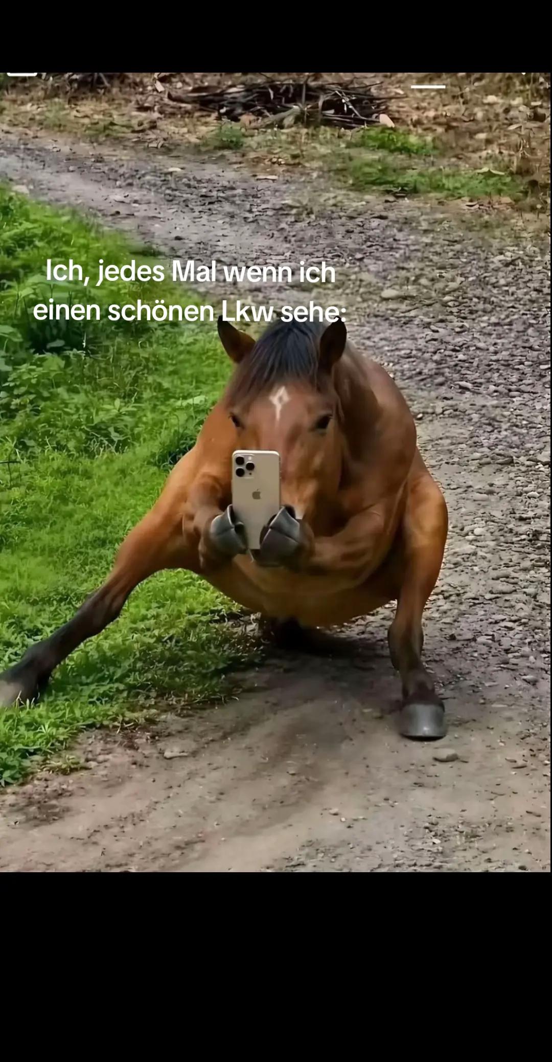 @Lena :)