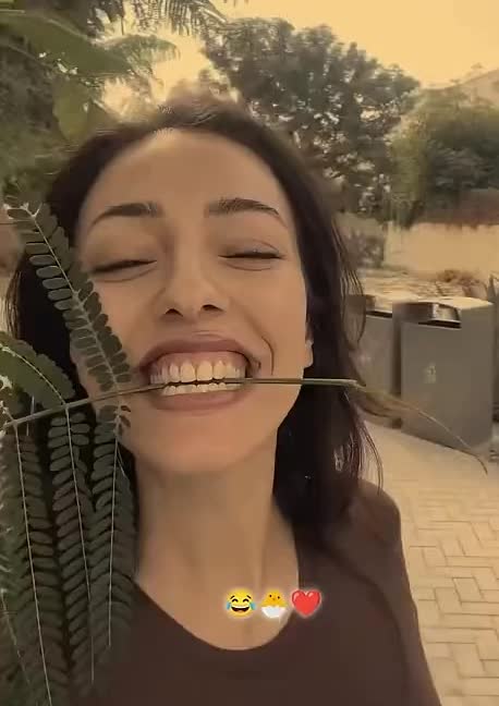 @𓆩حـــــــــــــــیاء𓆪