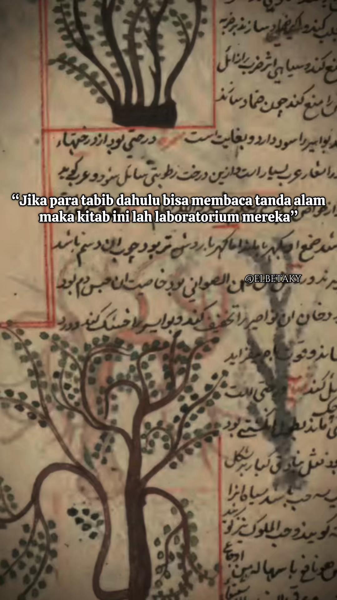 @elbetaky
