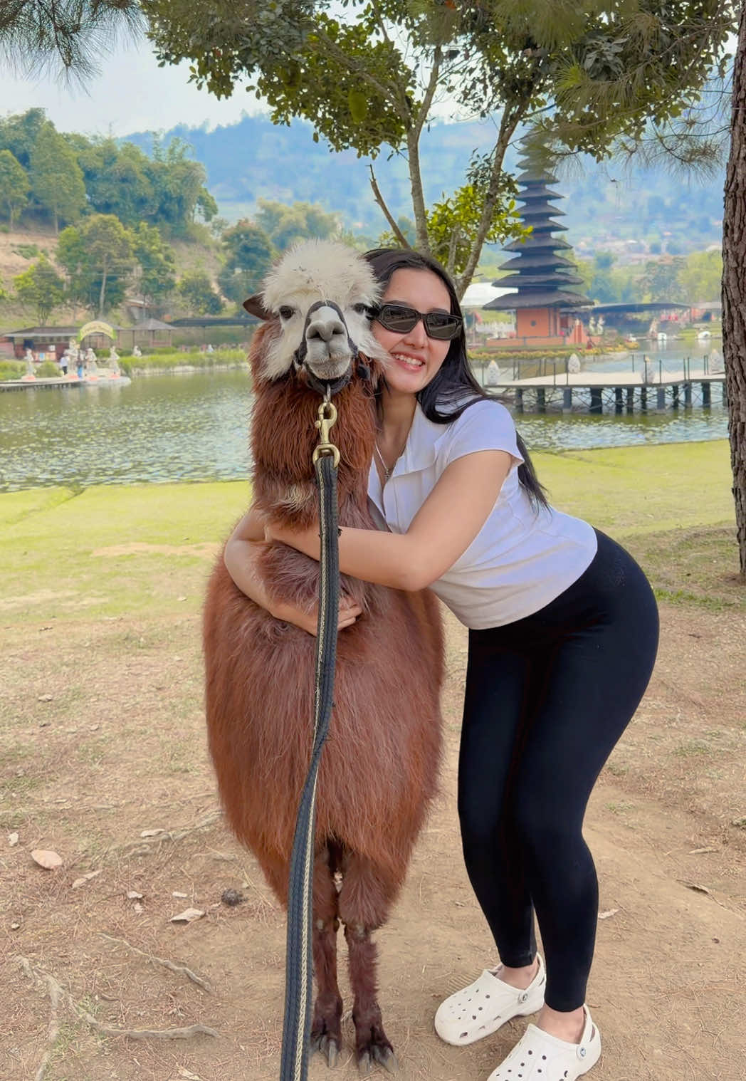 @Novi Sasmita Harsono