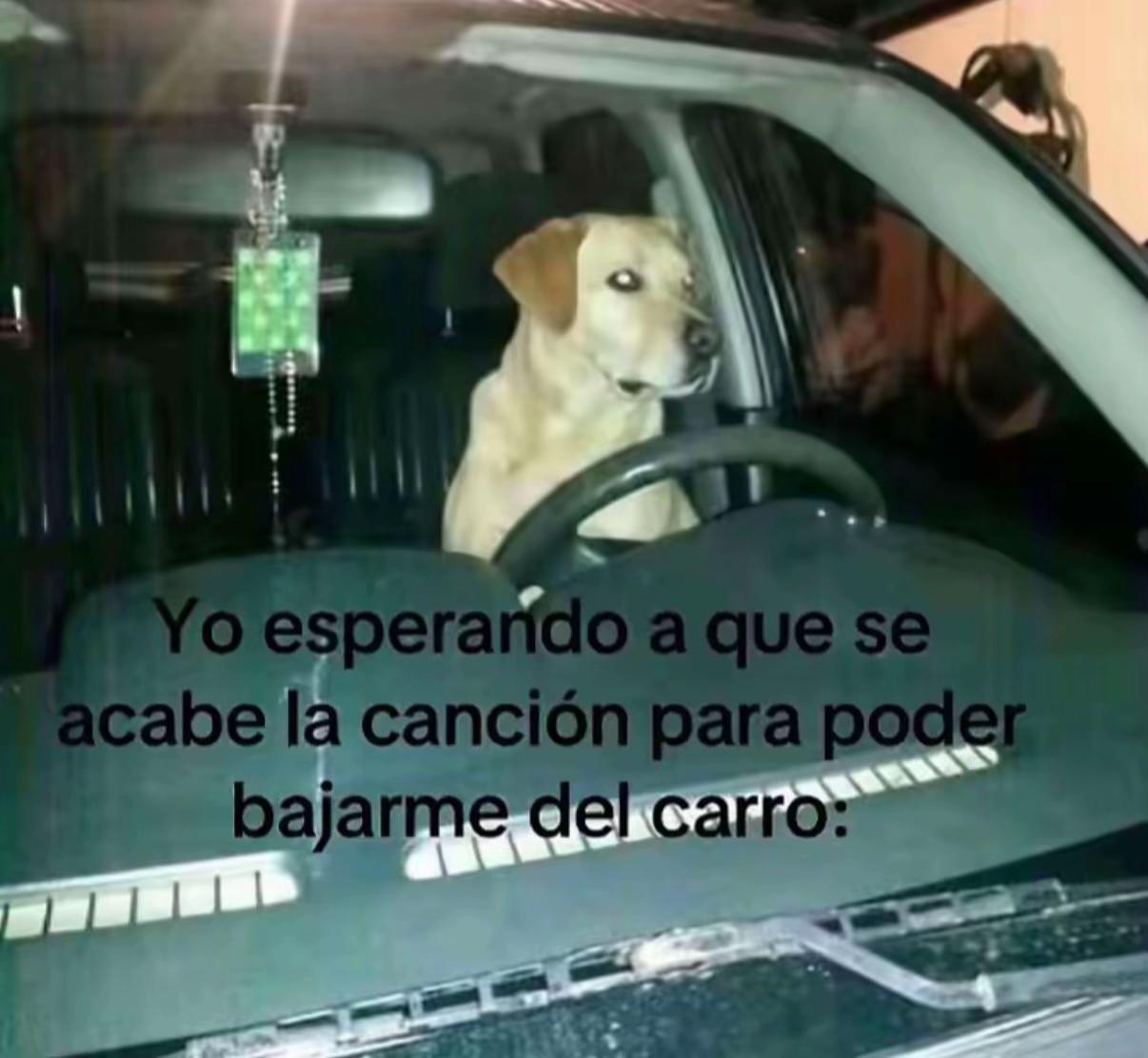 @Mauricio Sanchez