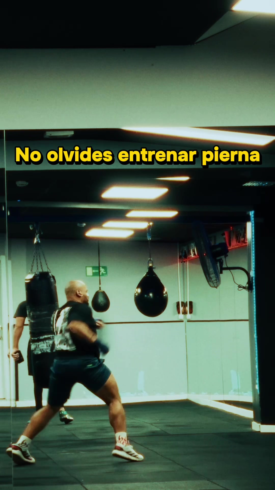 @Allan Cardoso 🤯