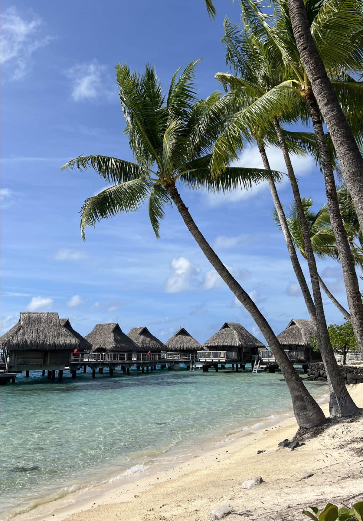 @Marine| Travel Planner Creator