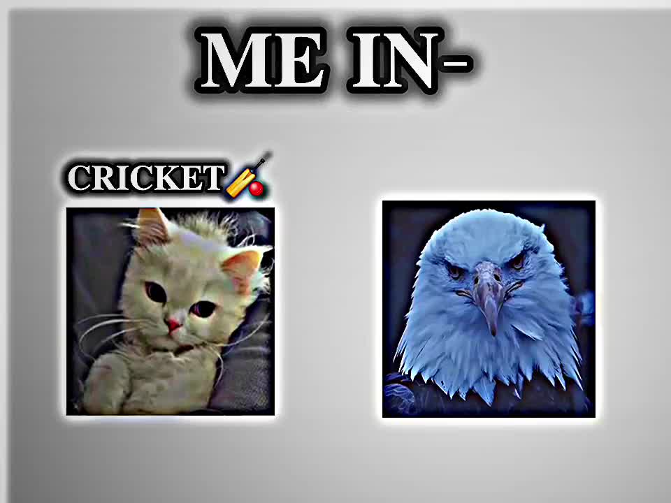 @💥𝗜𝗧𝗦 𝗦𝗔𝗡𝗜💫