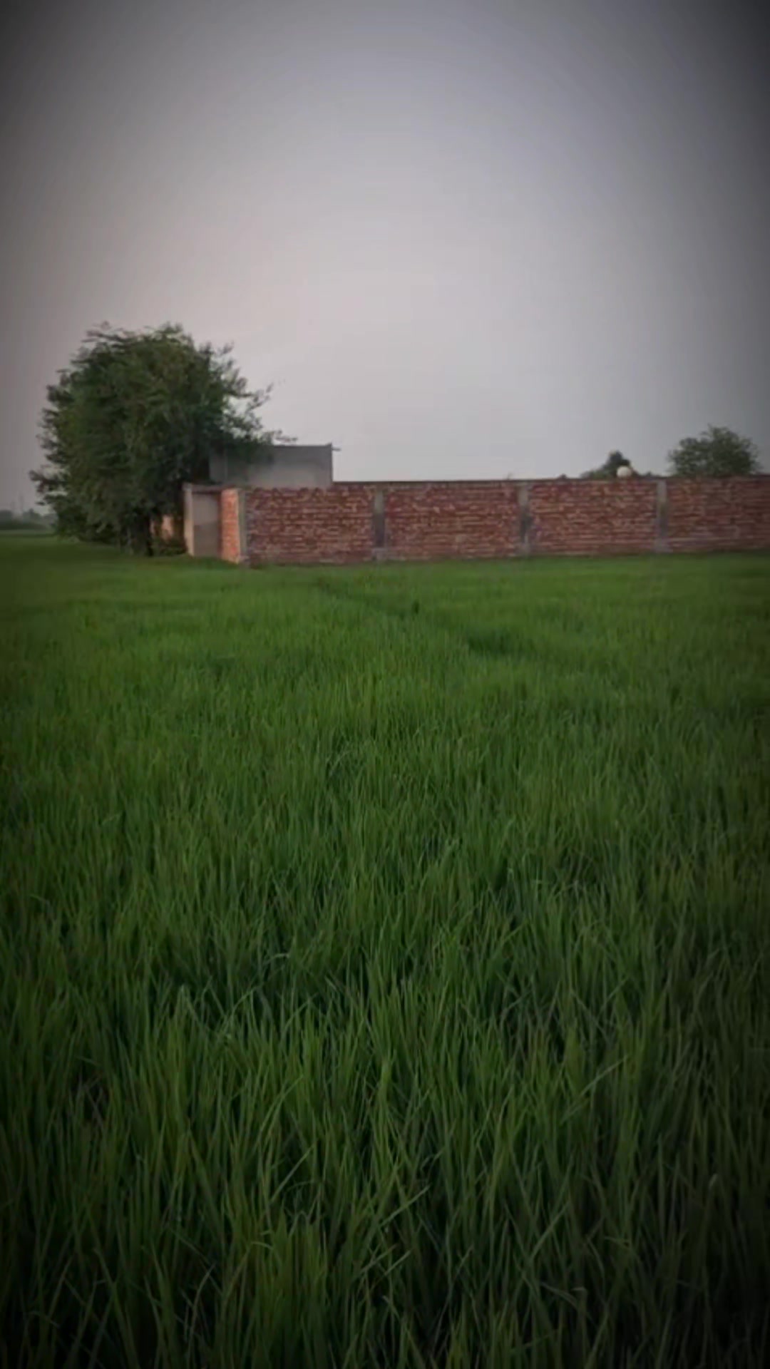 @ਸਰਾਂ