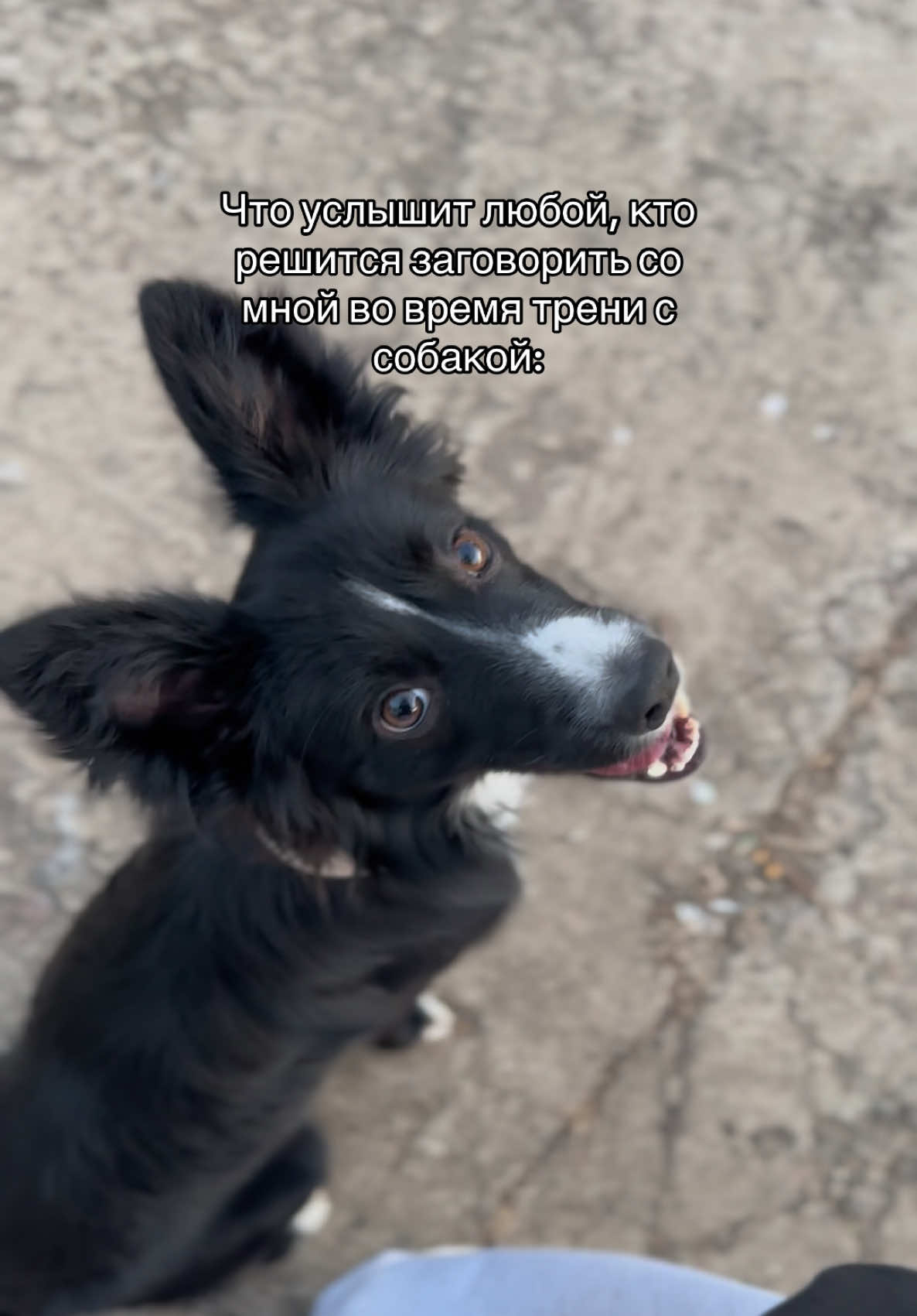 @𝗞𝗮𝗶🐊