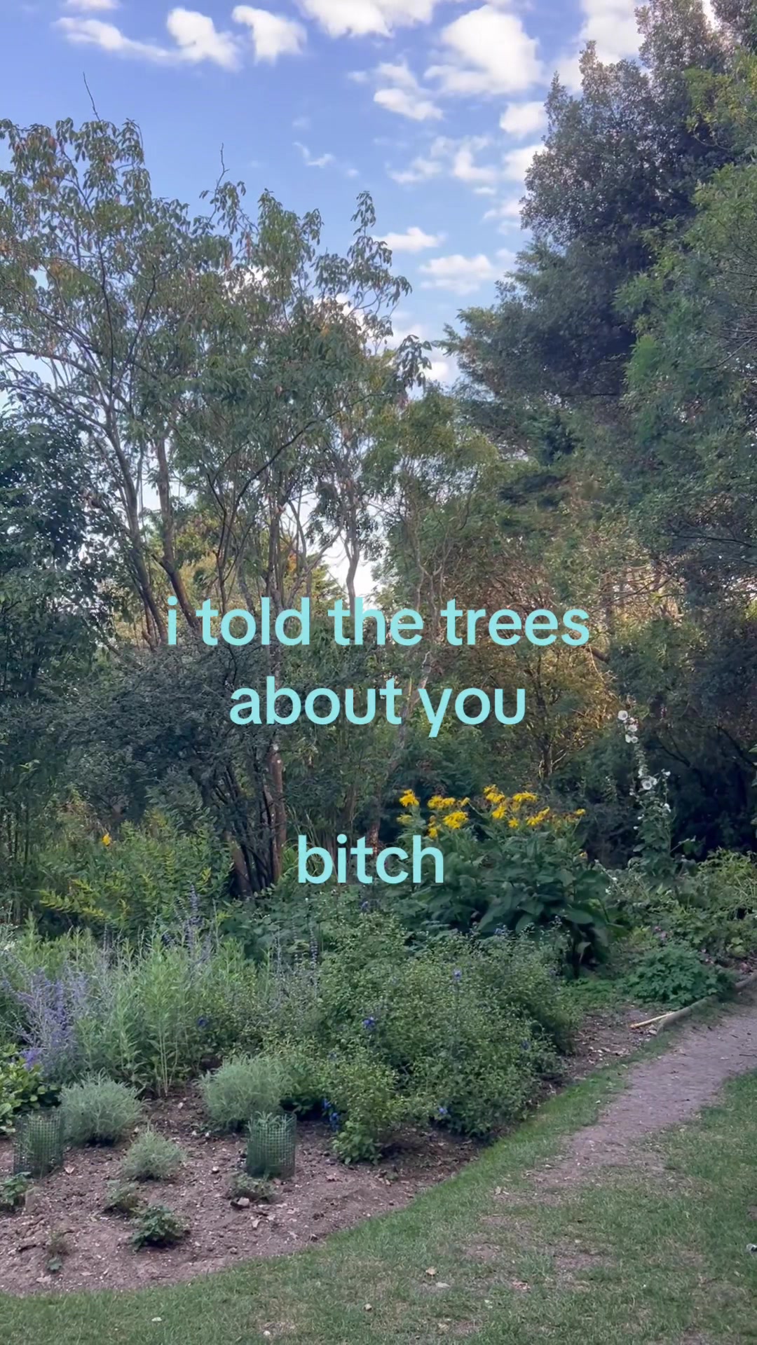 @chief queef