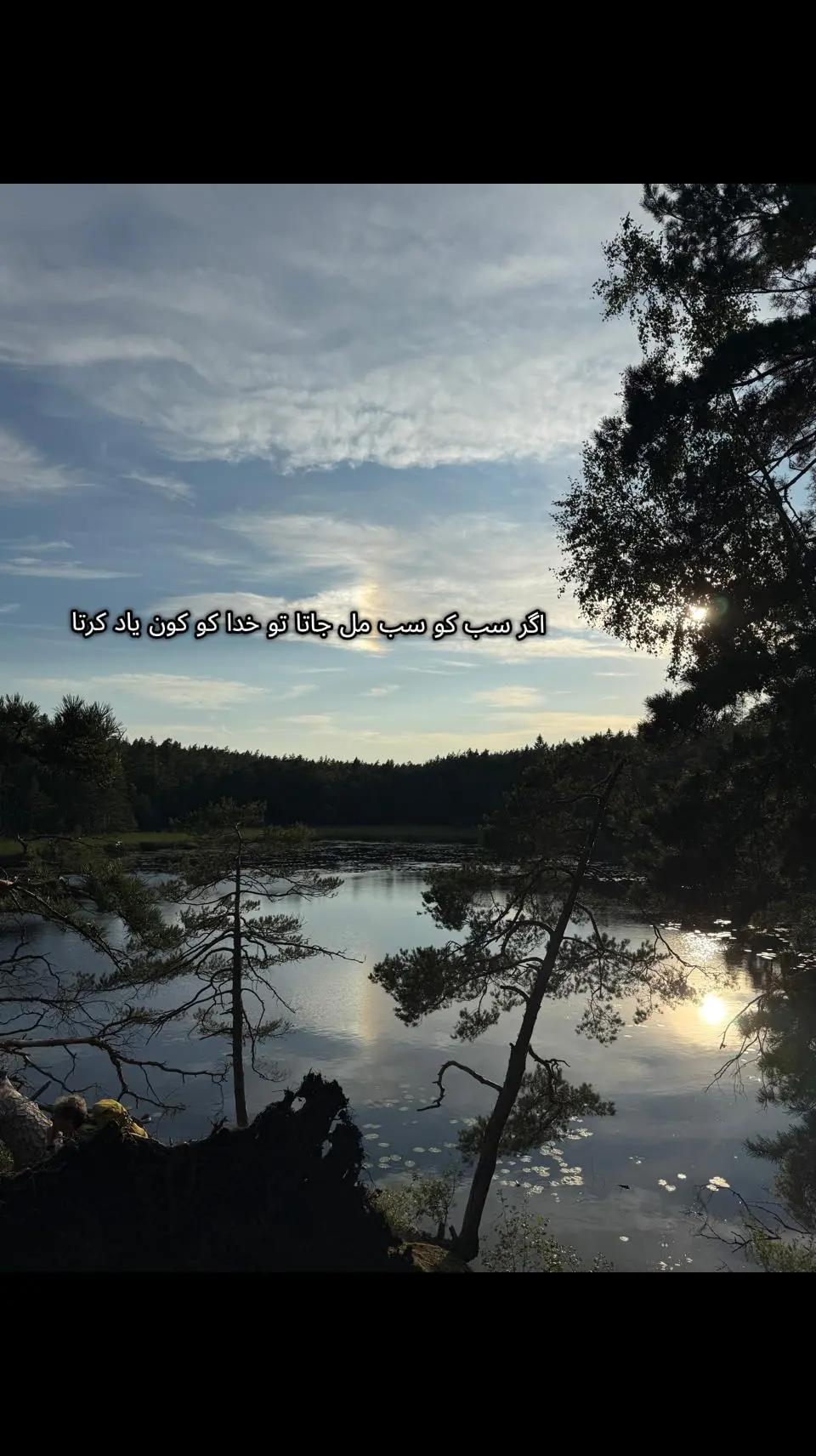 @🦢