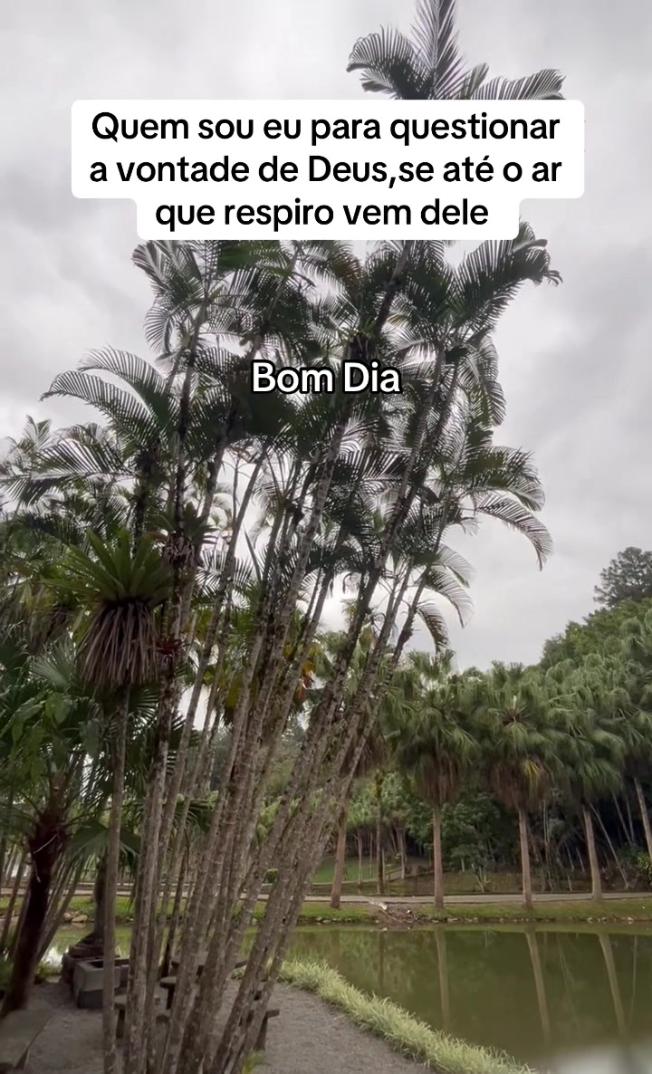 @Cida