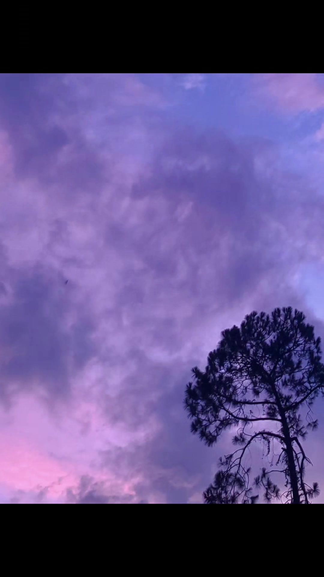 @FloridaLiving
