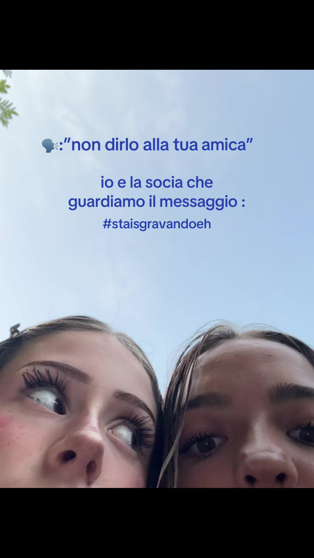 @spammm